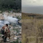 DOUBLE PROGRAMME - MIRADAS // MIGRATION